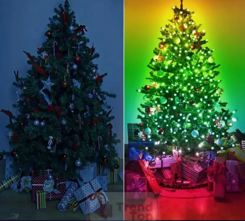 Luz Smart Natalina