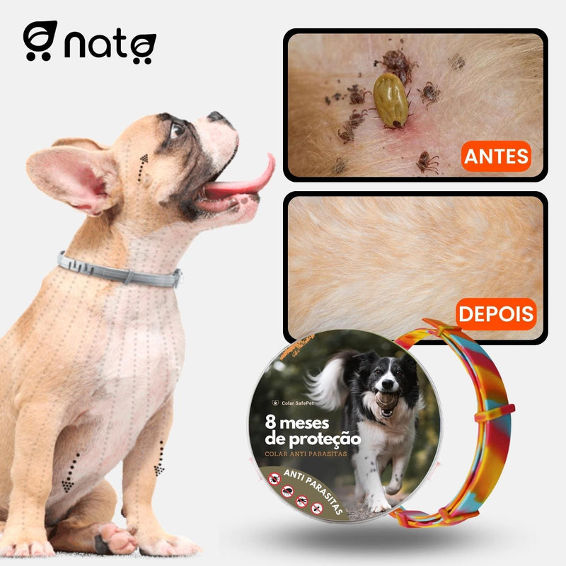 Colar SafePet Anti Pulgas e Carrapatos [8 Meses de Proteção]